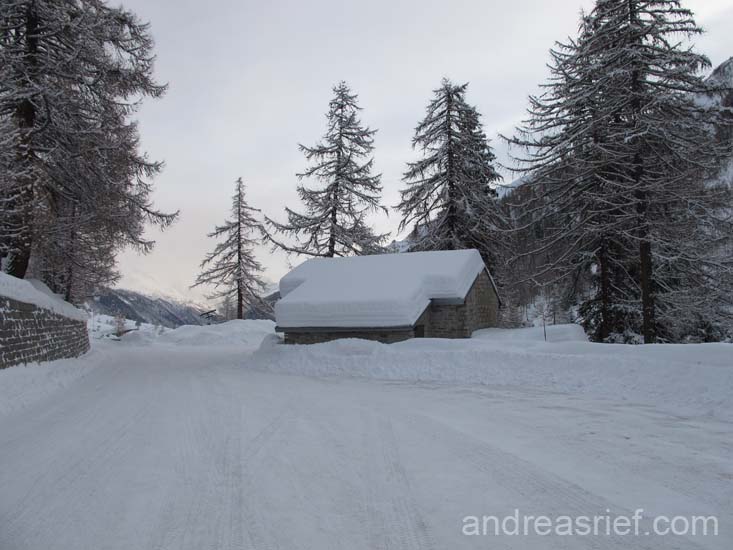 Winter 2009-2010 07