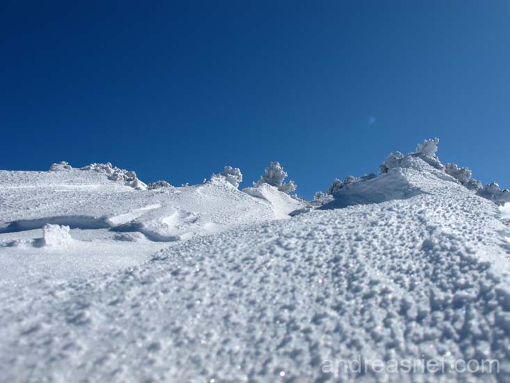 Winter 2009-2010 10