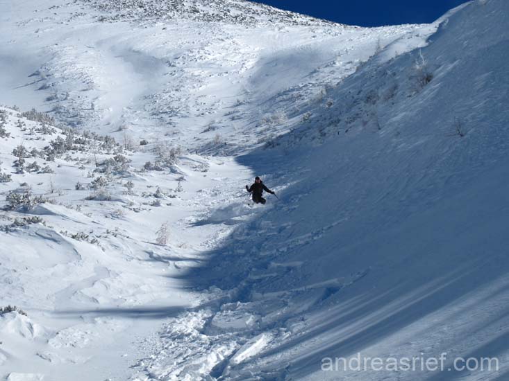 Winter 2009-2010 11